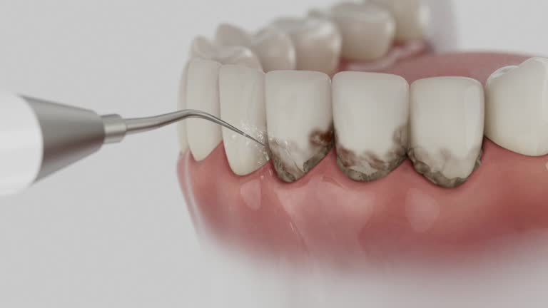 Reliable Dental contractor in Mullens, WV by Dentist Open Now